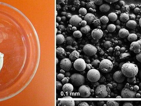 Crystals ‘peed’ by snakes could help treat kidney stones and gout